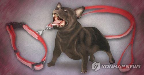 도베르만 핀셔는 어떤 견종인가