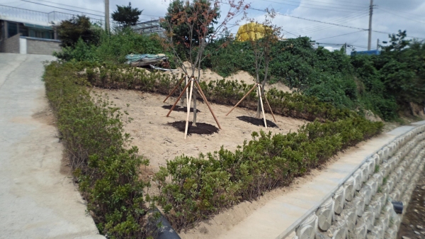 [⑥ 도랑 살리기 마을] (3)금산 성곡마을