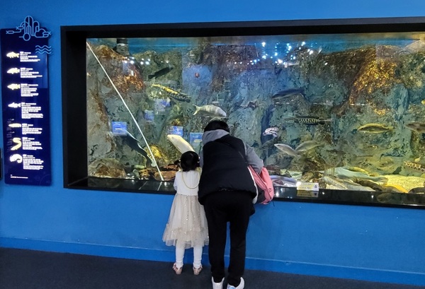 단양다누리아쿠아리움을 관람하고 있는 모녀. 단양군 제공