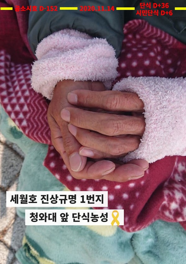 세월호 사건 책임자 처벌 촉구 청와대 앞 노숙단식 농성 36일째 뉴스레터