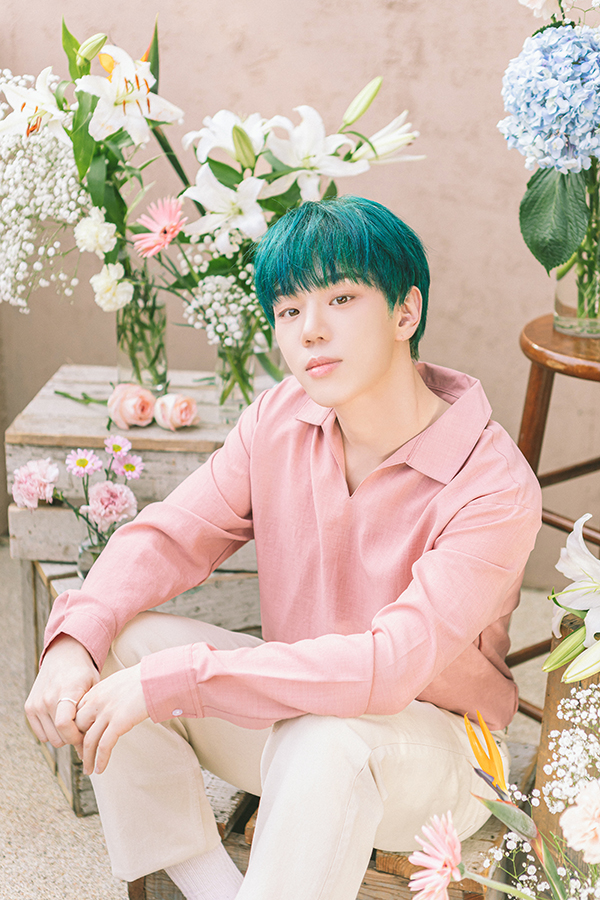 사진 : 비트인터렉티브