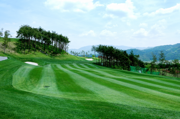 박세리와 골프 AI 엘드릭의 세기 대결이 펼쳐진 골프존카운티 무주. 골프존 제공