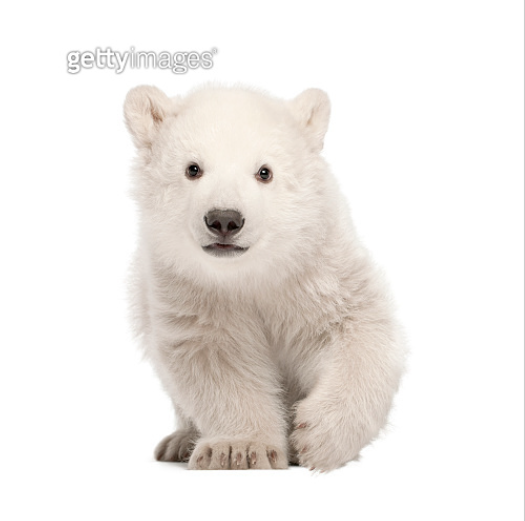 출처 – 게티이미지뱅크