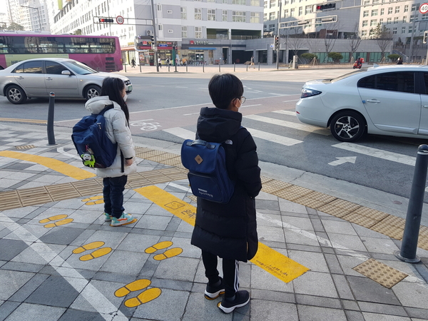 세종시가 어린이들이 주로 다니는 보행로의 교통안전을 강화하고자  관내 초등학교·학원가 67곳 횡단보도에 ‘노란발자국’을 설치했다. 세종시 제공