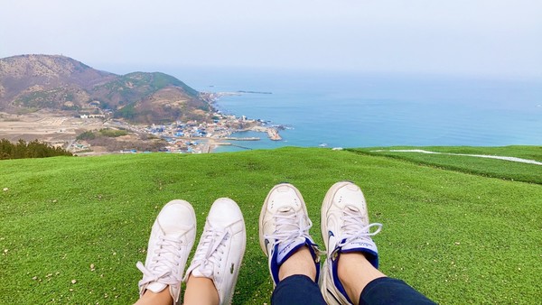 오늘의 날씨와 내일 날씨] 기상청 일기예보, 아침 8도 내륙 반짝 추위... 큰 일교차 '미세먼지 좋음' < 날씨 < 사회 < 기사본문  - 금강일보