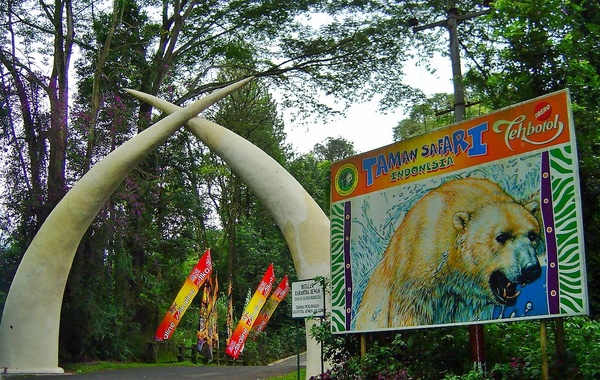 타만 사파리 입구