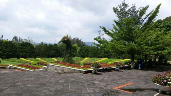 꽃정원의 고니 조형물