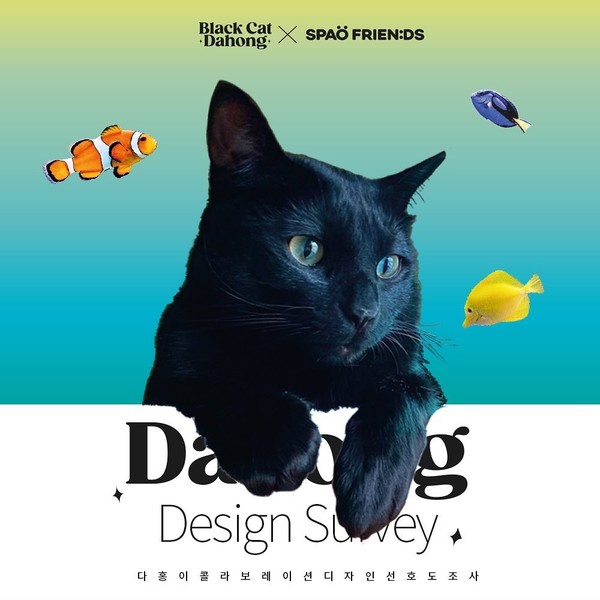 다홍이 인스타그램