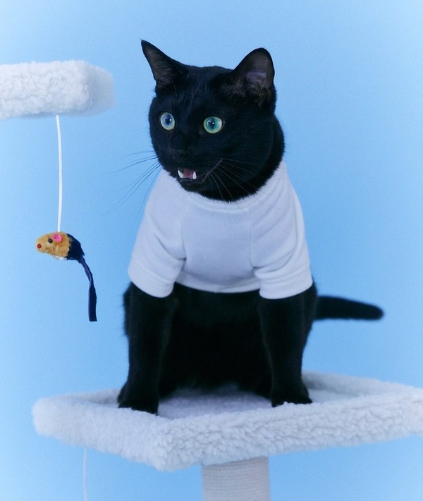 다홍이 인스타그램