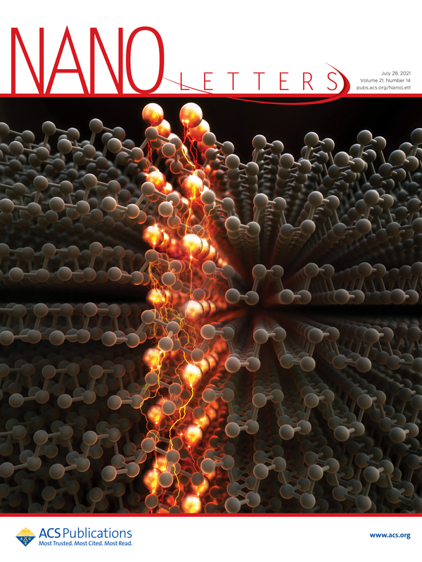 연구가 게재된 Nano Letters 표지 이미지. IBS 제공