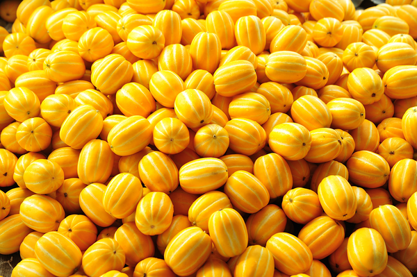 성주참외. 성주군 제공