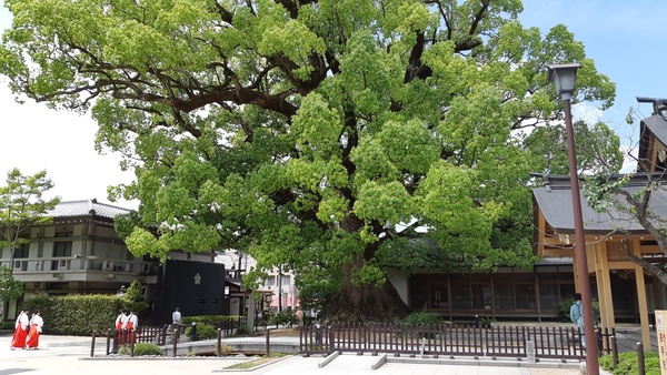 후쿠오카 다자이후덴만구