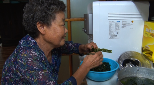 KBS 1TV ‘인간극장’