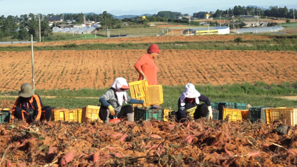KBS 1TV ‘인간극장’