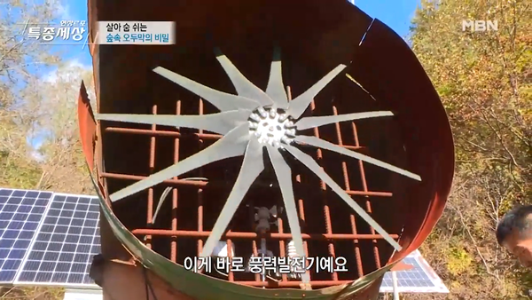 MBN ‘현장르포 특종세상’