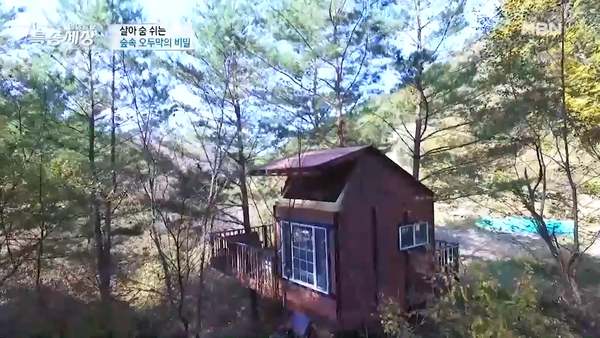 MBN ‘현장르포 특종세상’