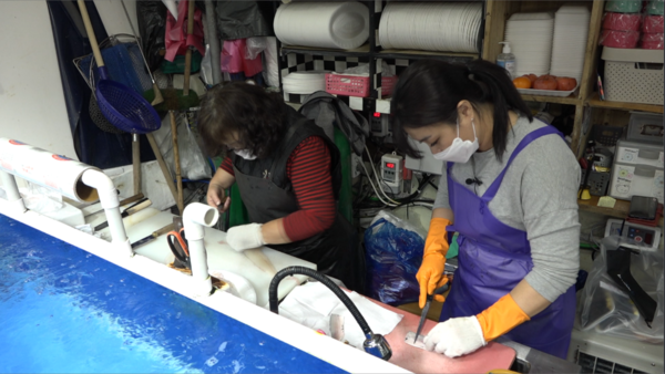 KBS 1TV ‘인간극장’