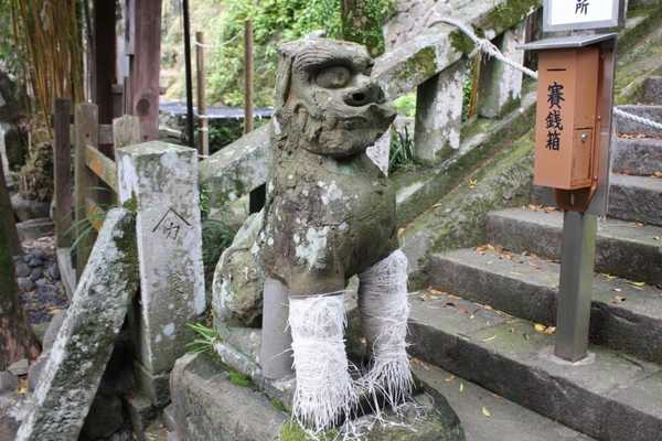 소원 기원 이누