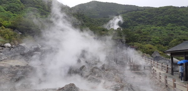 휴게소 앞의 아비규환 지옥