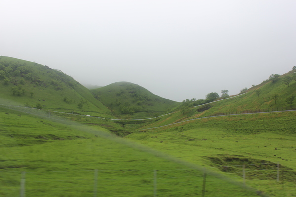 유후인~벳푸 가는 산길