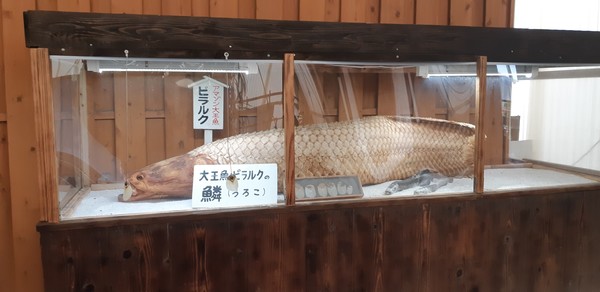 7-3. 백지지옥 열대어관