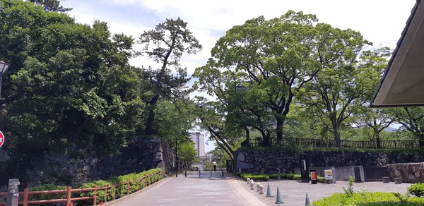 마쓰모토기념관 옆길