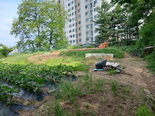 1894년 10월 동학농민혁명군 남접과 북접이 모인 소토산. 조그마한 산봉우리라는 뜻으로 현재 인근에는 학교와 아파트 등이 들어서 있다. 논산동학농민혁명계승사업회 제공