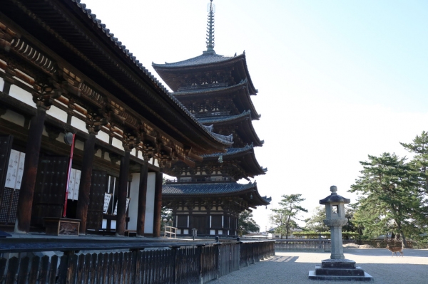 동금당과 오중탑