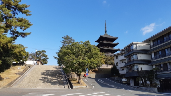 호수 9중석탑에서 들어가는 길