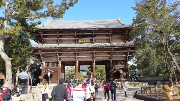 도다이지 남대문