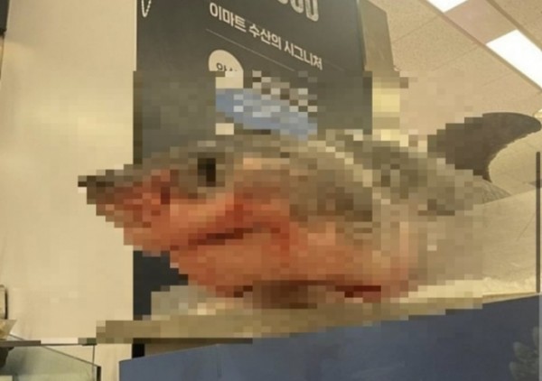 사진= 트위터 캡쳐