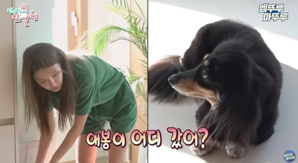 최수영♥정경호, 연애전선 이상無 (사진='전지적 참견 시점' 캡처)