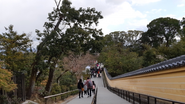 녹원사 산책길과 담장