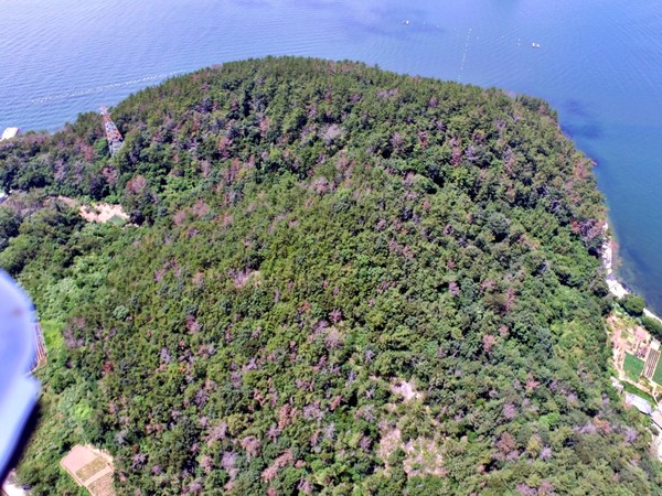 ​▲ 경남 화도 백신효능 시험림 전경.