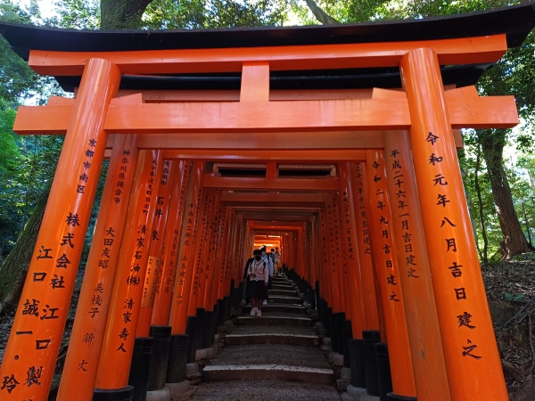 이나리 신사 도리이