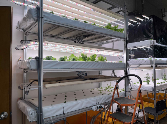 조별 수직농장 제작 및 실습