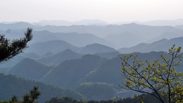 2구간, 만인산으로 가는 길.