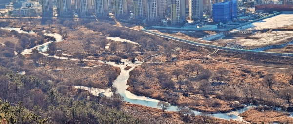 도심 속 생태하천 자연과 상생 어려울까