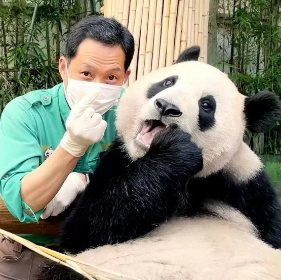 사진 = 에버랜드 SNS 