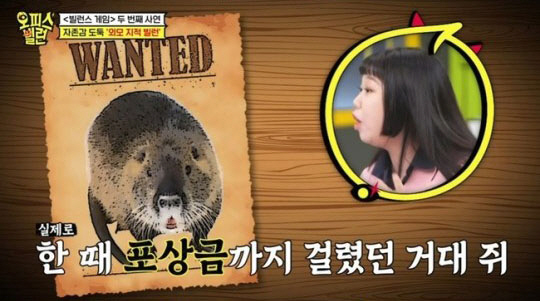 사진 = 채널S, MBN '오피스 빌런'