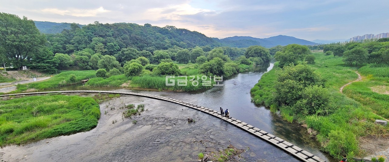갑천 새로운 다리 도솔대교 31일 개통