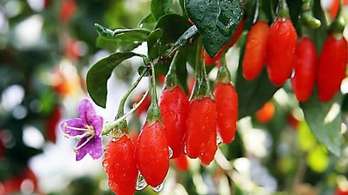 사진 = 연합뉴스