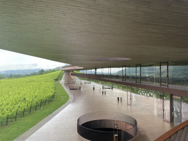 안티노리 와이너리