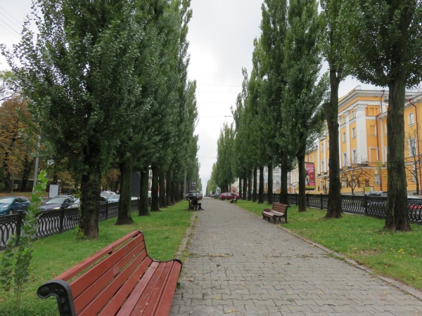 우크라이나 수도 키이우. 널찍한 중앙 녹지공간에 인도와 벤치, 좌우로 일방통행 차도를 만들었다.