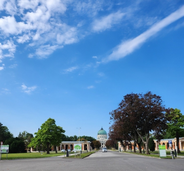 중앙묘지 입구.