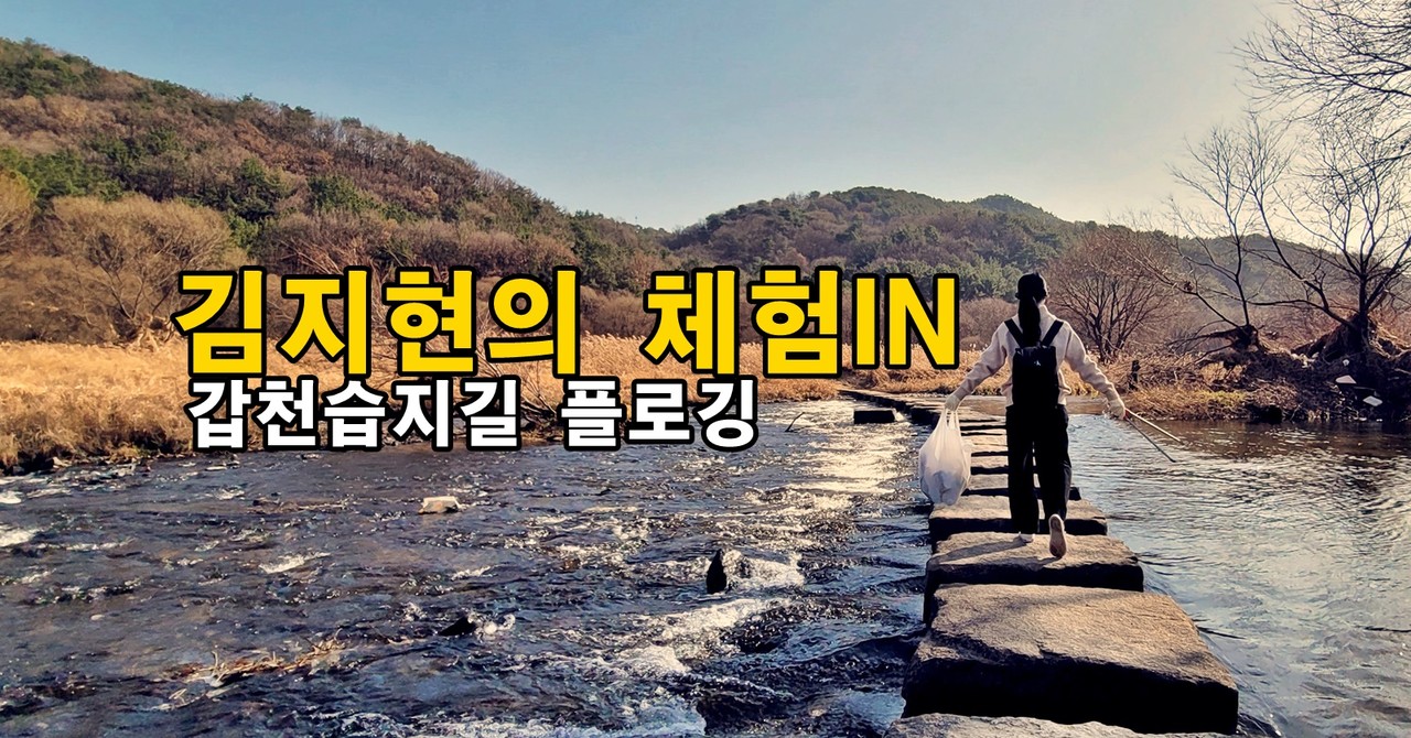 갑천을 진심으로 사랑하는 방법
