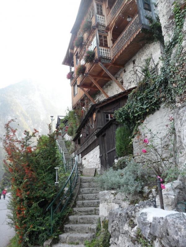 경사지의 집과 발코니의 화분들.