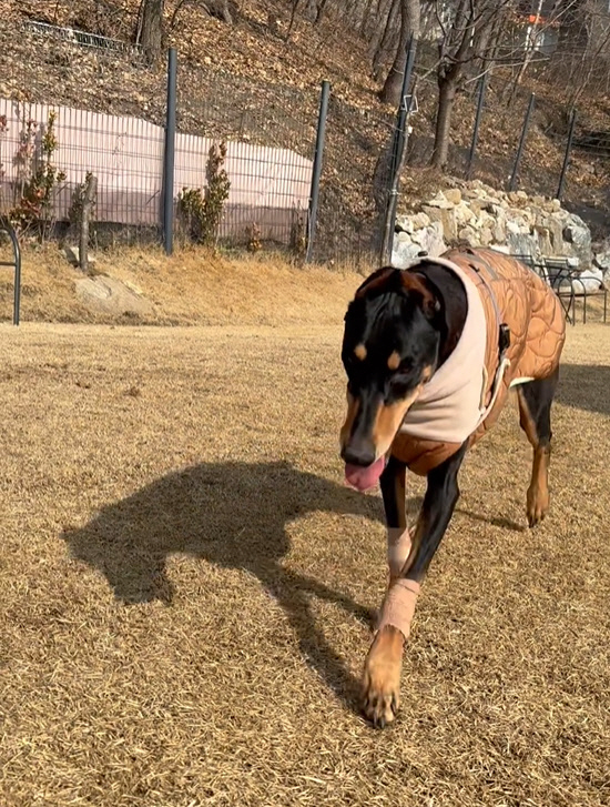 사진 = 배정남 인스타그램