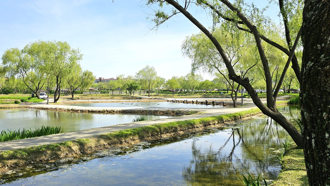 부여 궁남지. 답사 당시 연꽃을 심을 준비를 하고 있는 모습이다.
