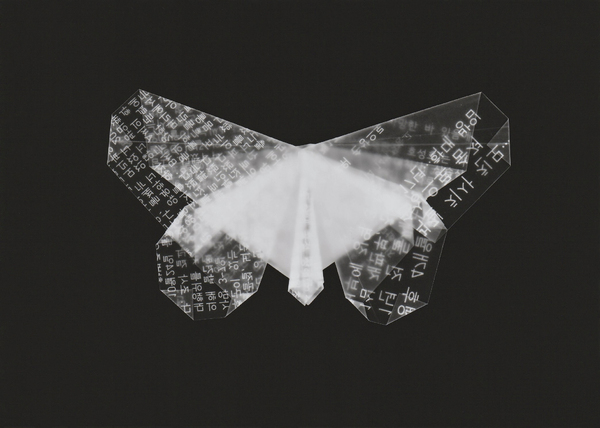 코로나 팬데믹 기간 인터넷에 매일같이 업로드되던 아동학대 사망 기사를 접하며 제작된 ‘나비’. 아동학대 기사를 출력한 300개의 반투명한 트레싱지를 종이접기 한 나비를 포토그램 기법으로 찍었다. 나비 종이접기를 통해 작고 소외된 것에 대한 애도의 마음과 삶과 죽음 사이에 대한 질문을 담았다.